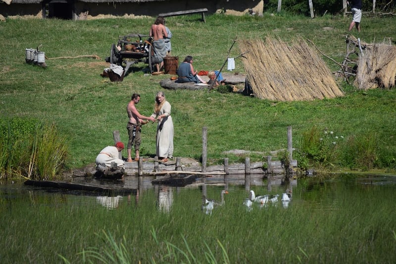 Viking Ship